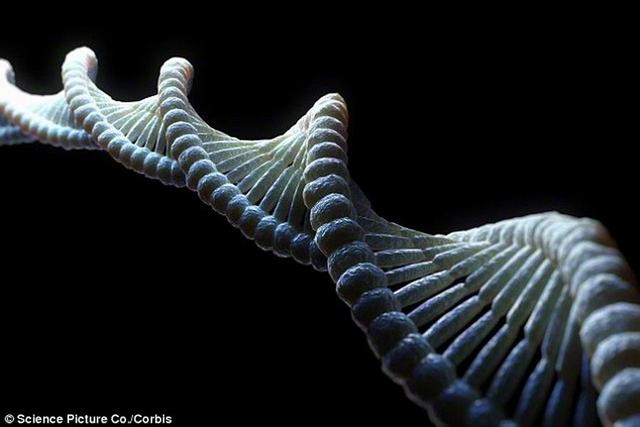 神秘DNA侵袭人类祖先 根源竟来自远古病毒